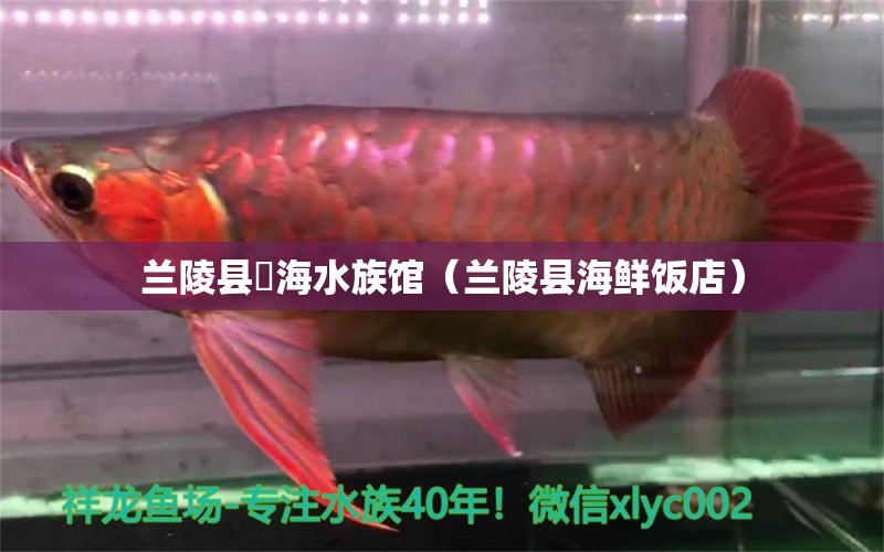 蘭陵縣喆海水族館（蘭陵縣海鮮飯店） 全國水族館企業(yè)名錄