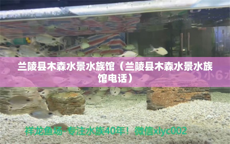 蘭陵縣木森水景水族館（蘭陵縣木森水景水族館電話）