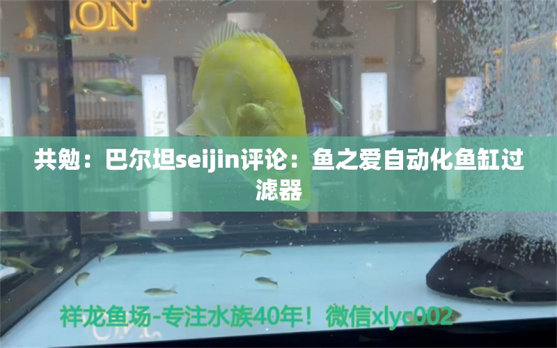 共勉：巴爾坦seijin評論：魚之愛自動化魚缸過濾器 觀賞魚論壇 第2張