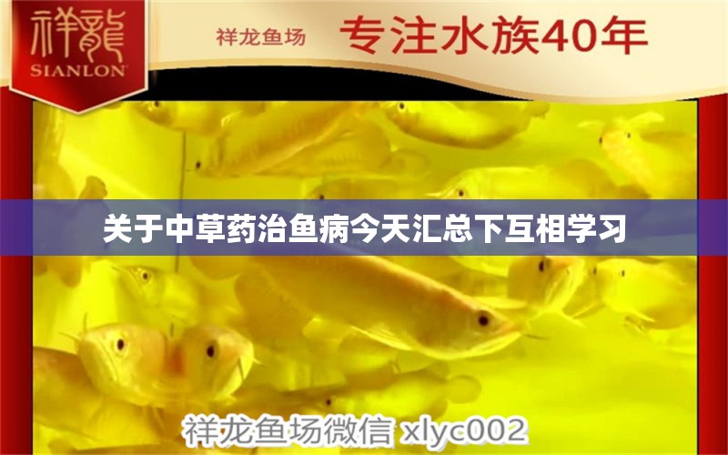 關(guān)于中草藥治魚病今天匯總下互相學(xué)習(xí) 龍魚疾病與治療