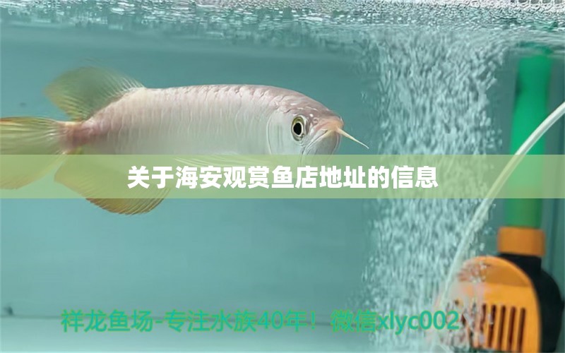 關(guān)于海安觀賞魚(yú)店地址的信息 蘇虎苗（蘇門(mén)答臘虎魚(yú)苗）