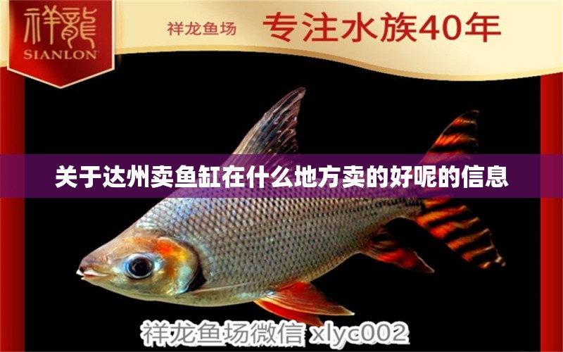 關(guān)于達(dá)州賣魚缸在什么地方賣的好呢的信息 孵化器