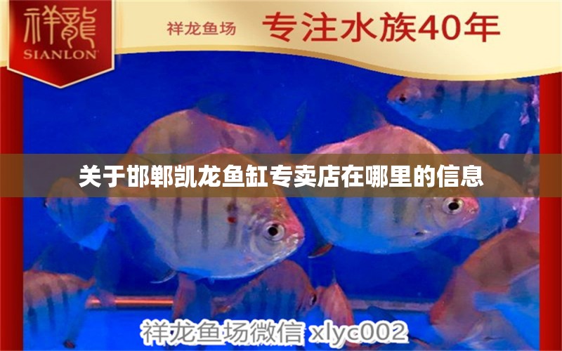 關(guān)于邯鄲凱龍魚缸專賣店在哪里的信息