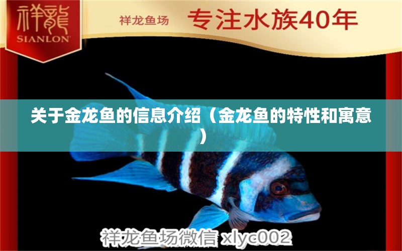 關(guān)于金龍魚的信息介紹（金龍魚的特性和寓意）