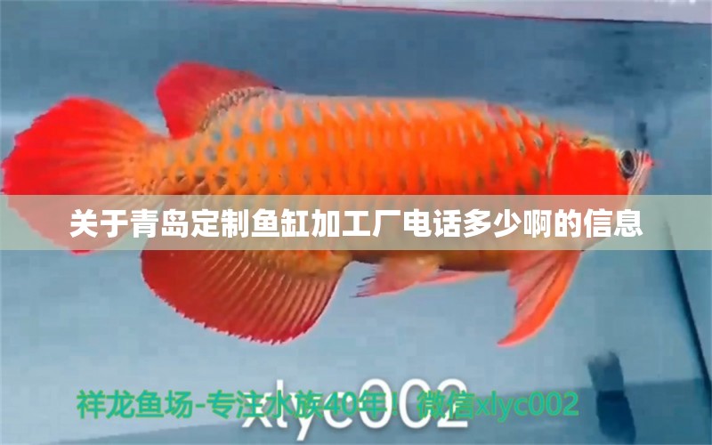 關(guān)于青島定制魚缸加工廠電話多少啊的信息 黃金招財(cái)貓魚