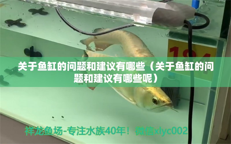 關(guān)于魚(yú)缸的問(wèn)題和建議有哪些（關(guān)于魚(yú)缸的問(wèn)題和建議有哪些呢） 紅眼黃化幽靈火箭魚(yú)|皇家火箭魚(yú)