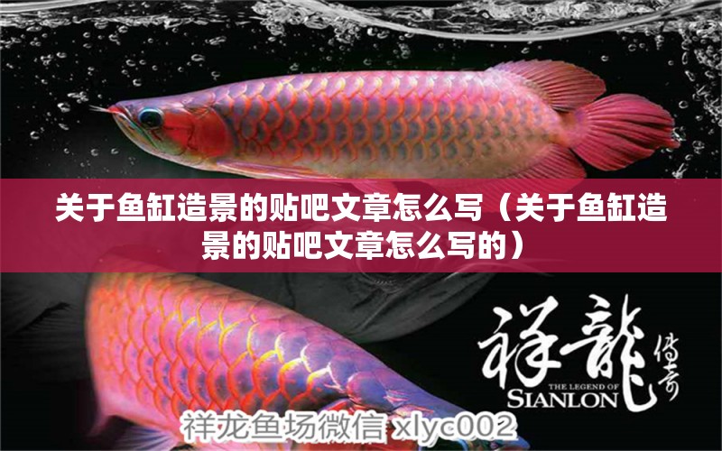 關于魚缸造景的貼吧文章怎么寫（關于魚缸造景的貼吧文章怎么寫的） 祥龍水族醫(yī)院