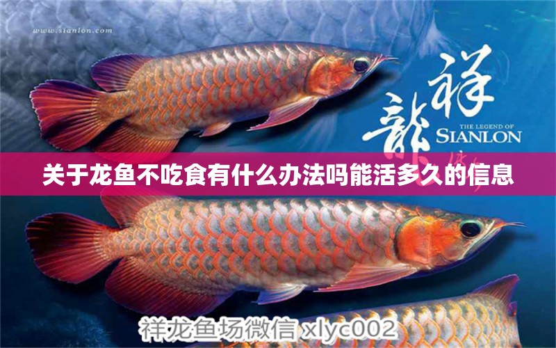 關(guān)于龍魚不吃食有什么辦法嗎能活多久的信息 觀賞魚