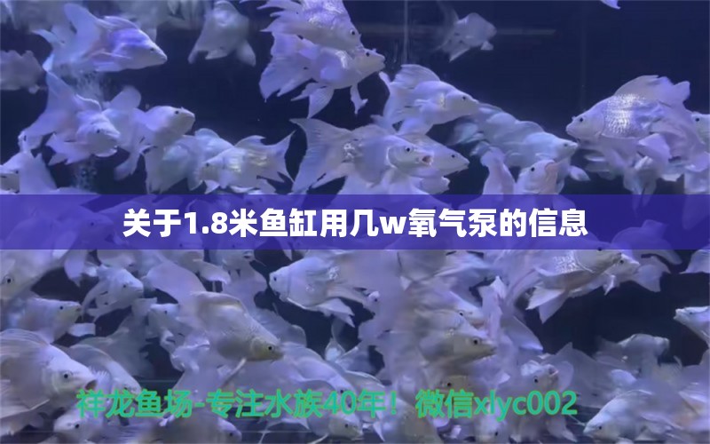 關(guān)于1.8米魚(yú)缸用幾w氧氣泵的信息 暹羅巨鯉