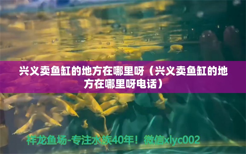 興義賣魚缸的地方在哪里呀（興義賣魚缸的地方在哪里呀電話）