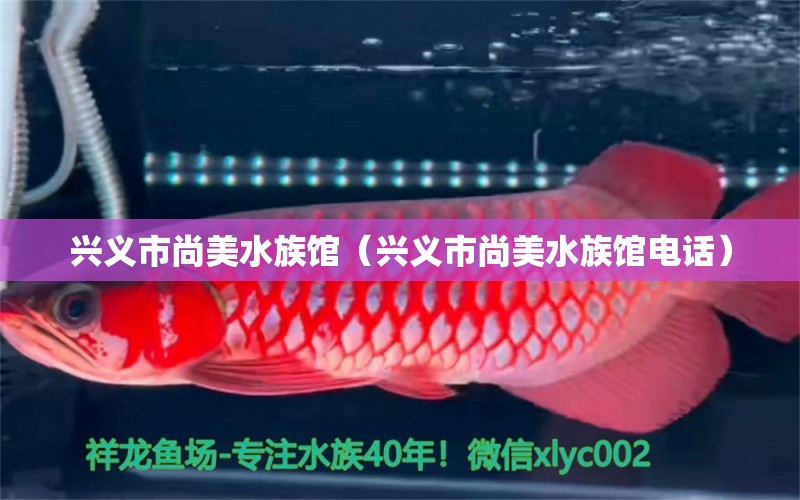 興義市尚美水族館（興義市尚美水族館電話） 全國水族館企業(yè)名錄