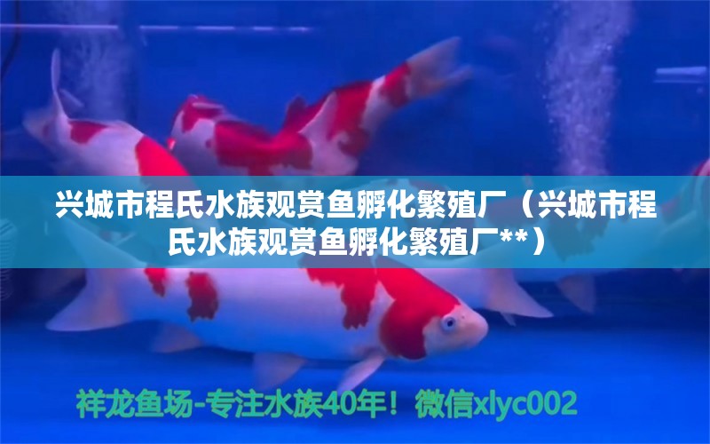 興城市程氏水族觀賞魚孵化繁殖廠（興城市程氏水族觀賞魚孵化繁殖廠**）