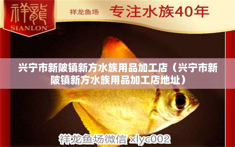 興寧市新陂鎮(zhèn)新方水族用品加工店（興寧市新陂鎮(zhèn)新方水族用品加工店地址） 水族用品