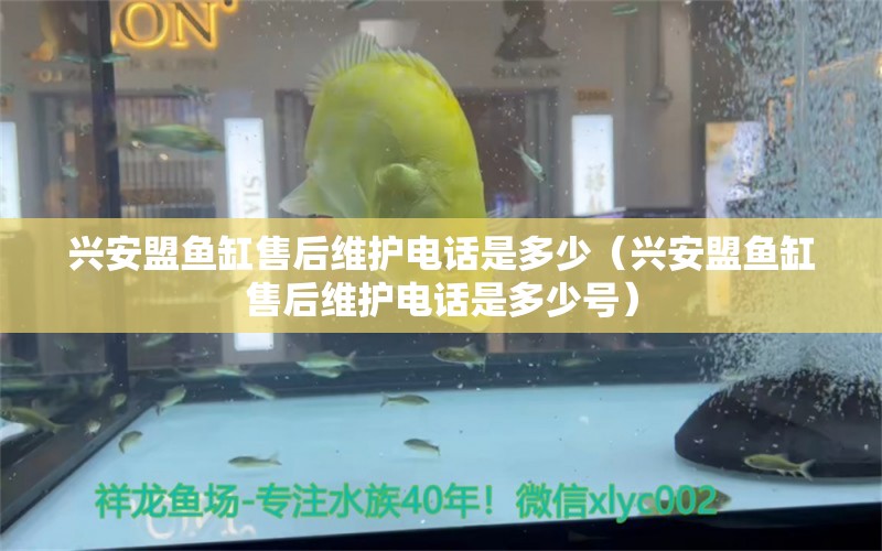 興安盟魚缸售后維護(hù)電話是多少（興安盟魚缸售后維護(hù)電話是多少號(hào)）