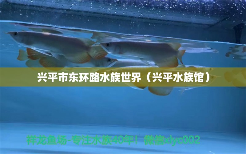 興平市東環(huán)路水族世界（興平水族館）