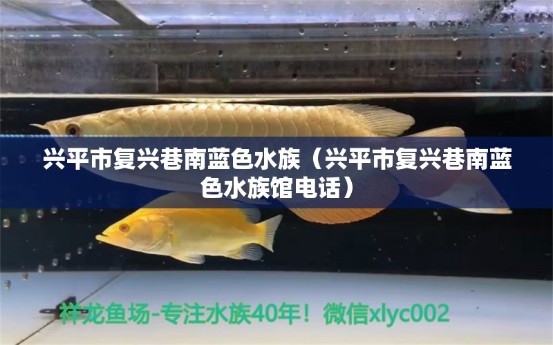 興平市復興巷南藍色水族（興平市復興巷南藍色水族館電話）