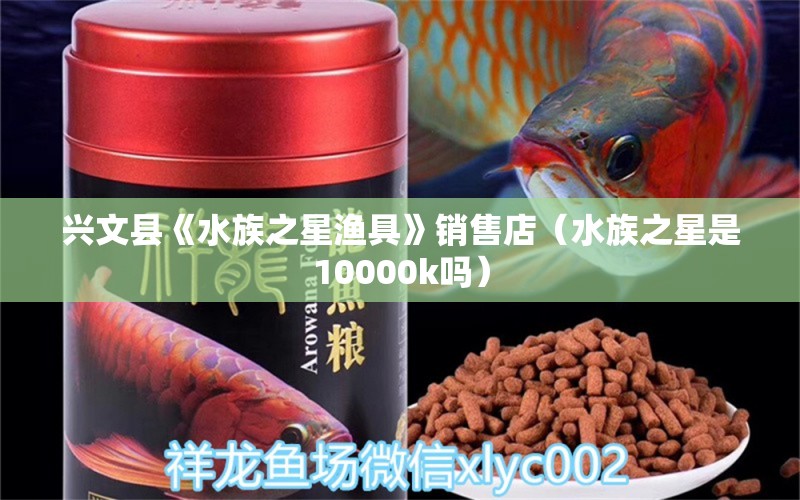 興文縣《水族之星漁具》銷售店（水族之星是10000k嗎）