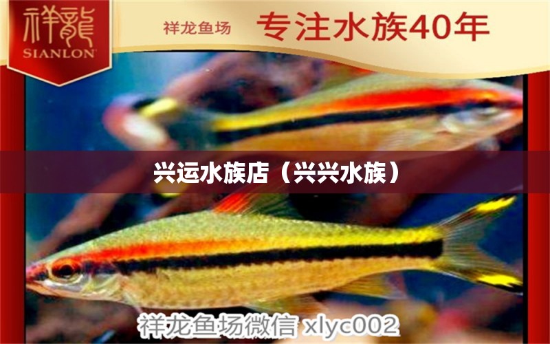 興運(yùn)水族店（興興水族） 全國(guó)水族館企業(yè)名錄