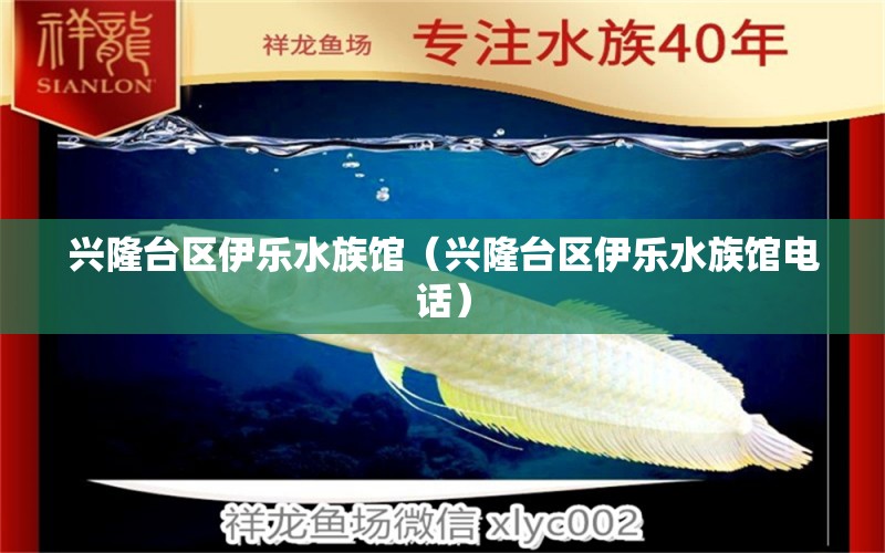 興隆臺區(qū)伊樂水族館（興隆臺區(qū)伊樂水族館電話） 全國水族館企業(yè)名錄