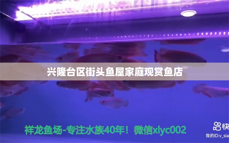 興隆臺區(qū)街頭魚屋家庭觀賞魚店 全國水族館企業(yè)名錄