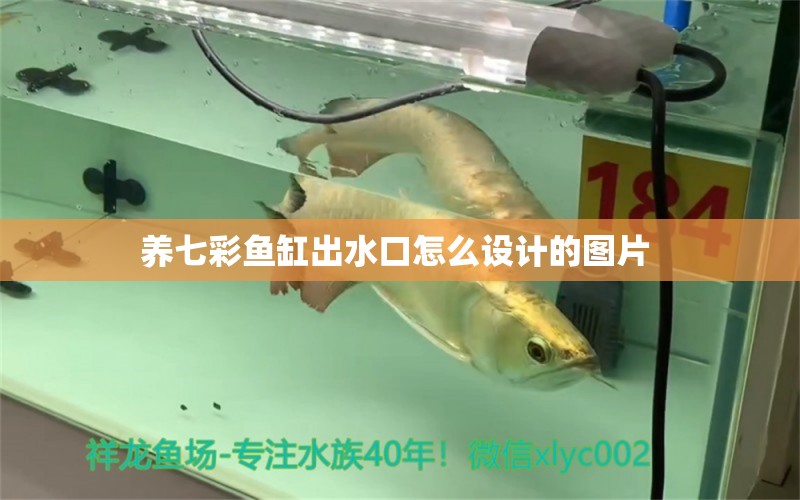 養(yǎng)七彩魚缸出水口怎么設計的圖片 