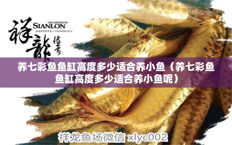 養(yǎng)七彩魚魚缸高度多少適合養(yǎng)小魚（養(yǎng)七彩魚魚缸高度多少適合養(yǎng)小魚呢）