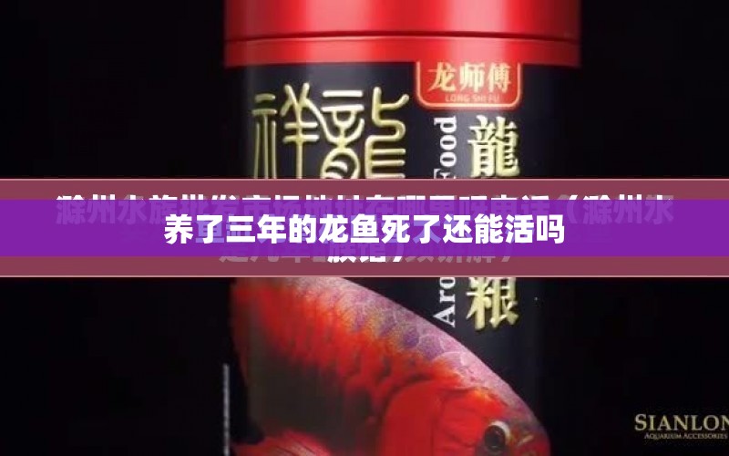 養(yǎng)了三年的龍魚死了還能活嗎 水族問答