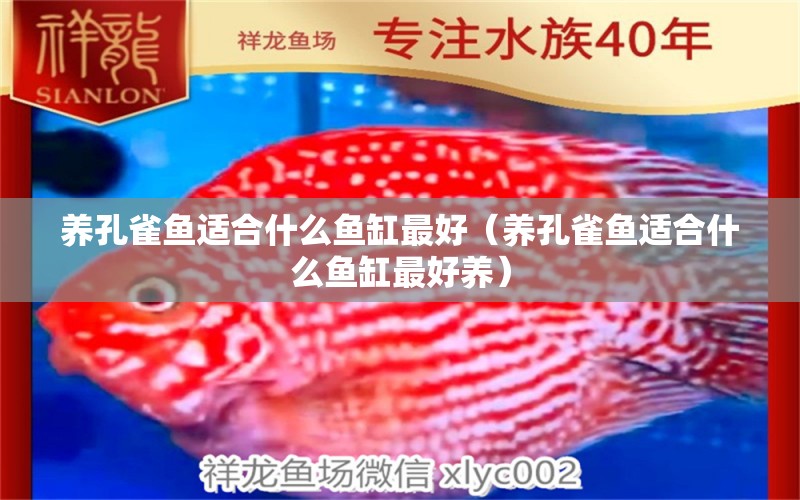 養(yǎng)孔雀魚適合什么魚缸最好（養(yǎng)孔雀魚適合什么魚缸最好養(yǎng)） 廣州觀賞魚批發(fā)市場