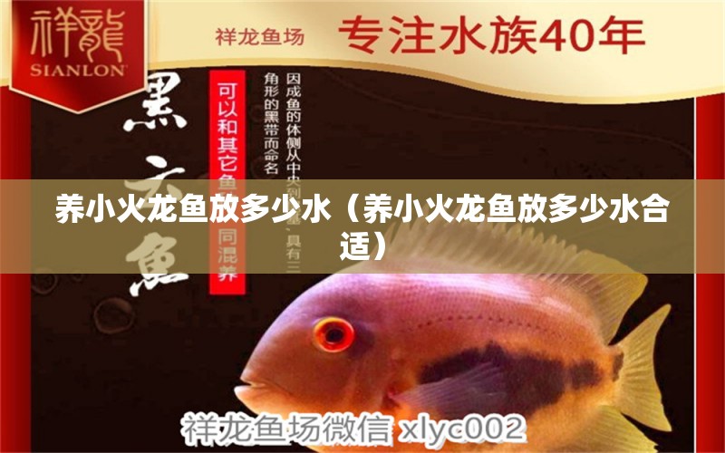 養(yǎng)小火龍魚放多少水（養(yǎng)小火龍魚放多少水合適）