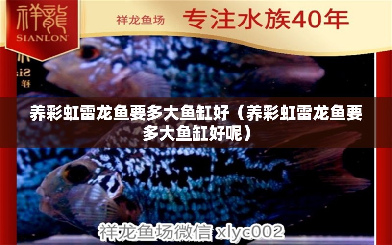 養(yǎng)彩虹雷龍魚(yú)要多大魚(yú)缸好（養(yǎng)彩虹雷龍魚(yú)要多大魚(yú)缸好呢）