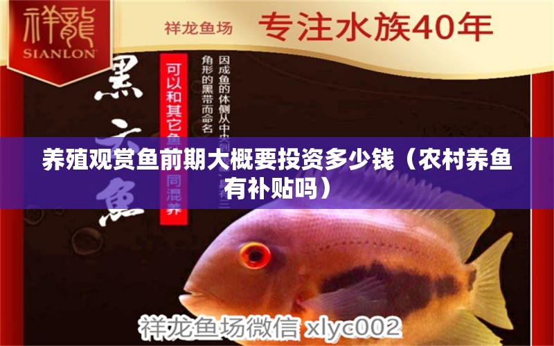 養(yǎng)殖觀賞魚前期大概要投資多少錢（農(nóng)村養(yǎng)魚有補(bǔ)貼嗎） 羅漢魚