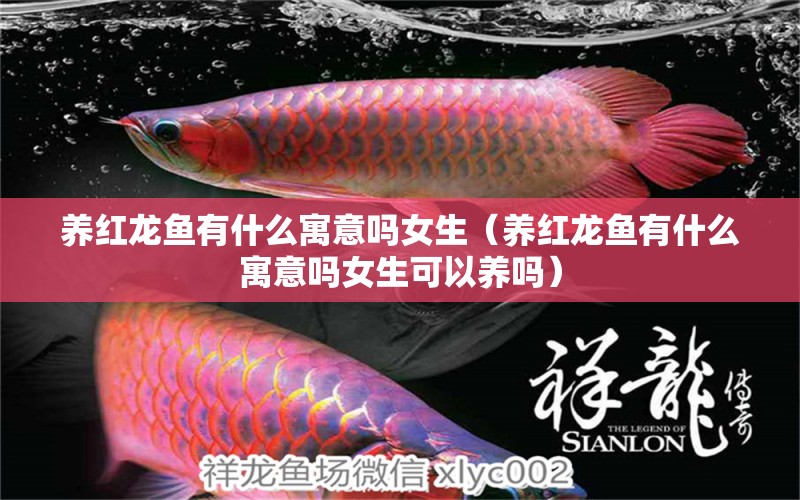 養(yǎng)紅龍魚有什么寓意嗎女生（養(yǎng)紅龍魚有什么寓意嗎女生可以養(yǎng)嗎）