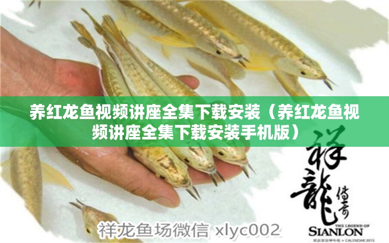 養(yǎng)紅龍魚視頻講座全集下載安裝（養(yǎng)紅龍魚視頻講座全集下載安裝手機(jī)版）