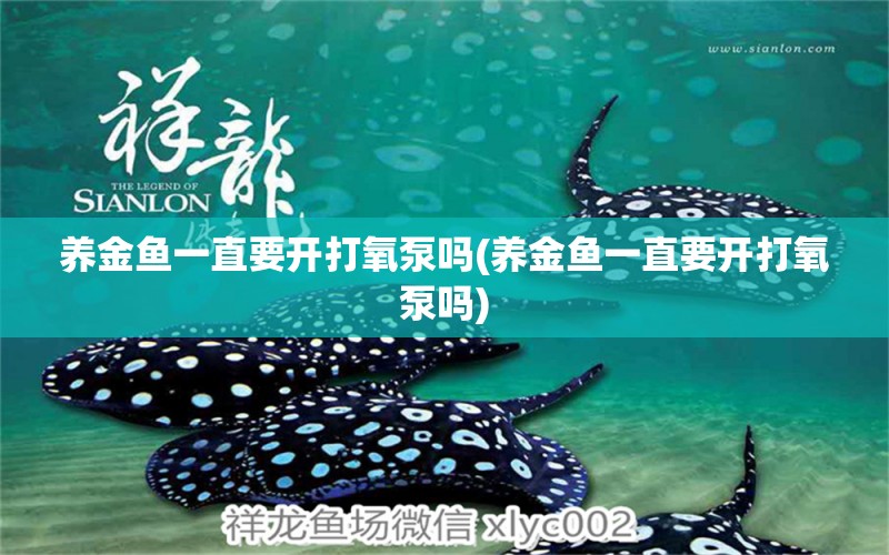 養(yǎng)金魚一直要開打氧泵嗎(養(yǎng)金魚一直要開打氧泵嗎) 水族世界