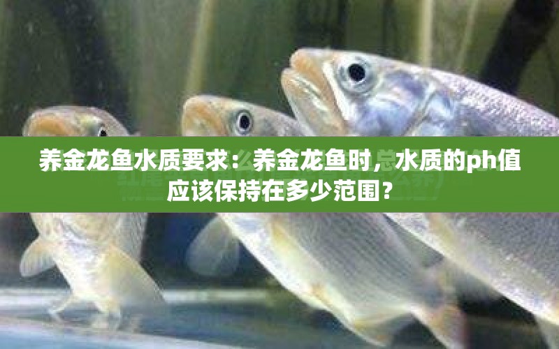 養(yǎng)金龍魚(yú)水質(zhì)要求：養(yǎng)金龍魚(yú)時(shí)，水質(zhì)的ph值應(yīng)該保持在多少范圍？ 水族問(wèn)答