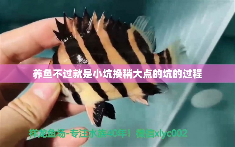 養(yǎng)魚不過就是小坑換稍大點(diǎn)的坑的過程 觀賞魚論壇 第3張