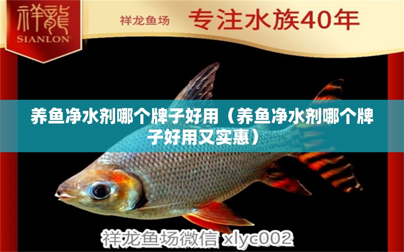 養(yǎng)魚(yú)凈水劑哪個(gè)牌子好用（養(yǎng)魚(yú)凈水劑哪個(gè)牌子好用又實(shí)惠）