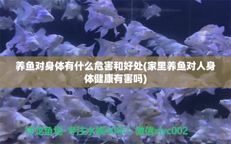 養(yǎng)魚(yú)對(duì)身體有什么危害和好處(家里養(yǎng)魚(yú)對(duì)人身體健康有害嗎) 丹頂錦鯉魚(yú)