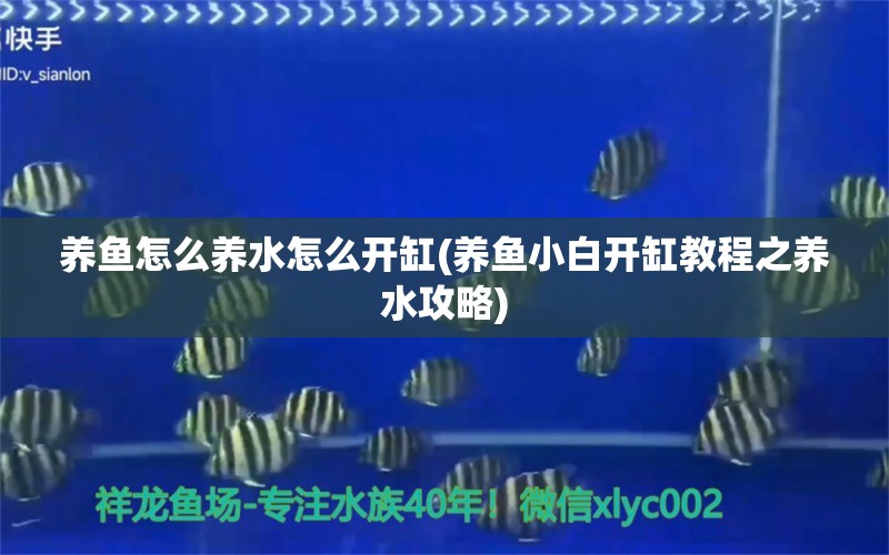 養(yǎng)魚怎么養(yǎng)水怎么開缸(養(yǎng)魚小白開缸教程之養(yǎng)水攻略)