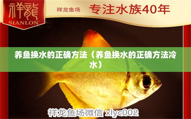 養(yǎng)魚換水的正確方法（養(yǎng)魚換水的正確方法冷水）