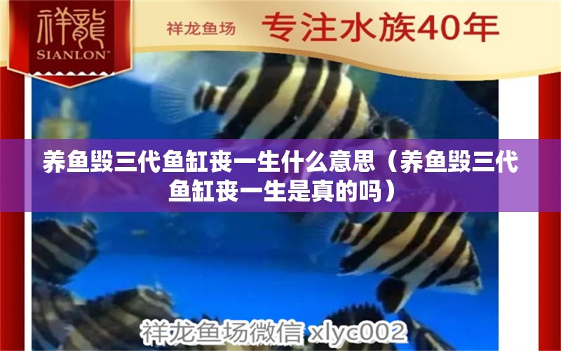 養(yǎng)魚毀三代魚缸喪一生什么意思（養(yǎng)魚毀三代魚缸喪一生是真的嗎） 月光鴨嘴魚苗