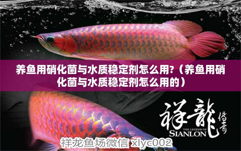 養(yǎng)魚用硝化菌與水質(zhì)穩(wěn)定劑怎么用?（養(yǎng)魚用硝化菌與水質(zhì)穩(wěn)定劑怎么用的）