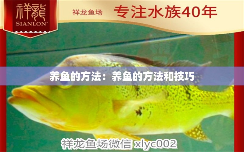 養(yǎng)魚(yú)的方法：養(yǎng)魚(yú)的方法和技巧 二氧化碳設(shè)備