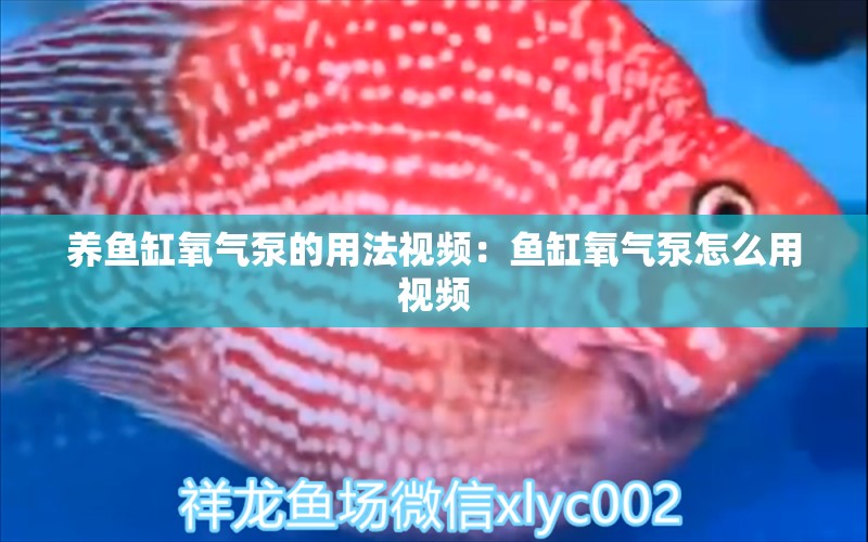 養(yǎng)魚缸氧氣泵的用法視頻：魚缸氧氣泵怎么用視頻