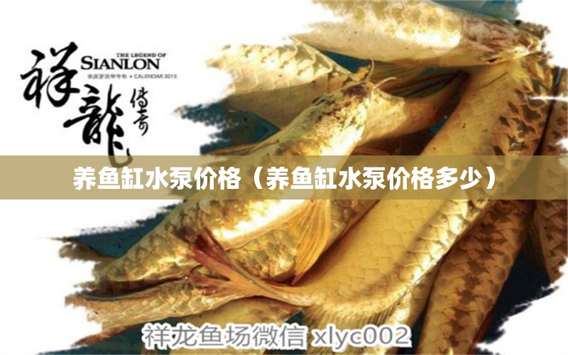 養(yǎng)魚缸水泵價格（養(yǎng)魚缸水泵價格多少） 黃金貓魚百科 第1張