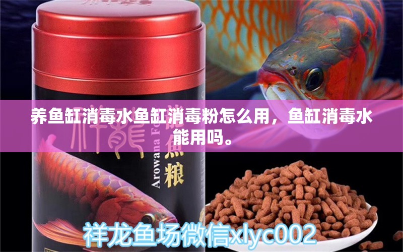 養(yǎng)魚缸消毒水魚缸消毒粉怎么用，魚缸消毒水能用嗎。 熱帶魚魚苗批發(fā)