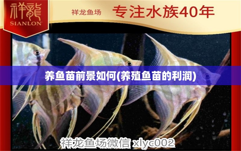 養(yǎng)魚苗前景如何(養(yǎng)殖魚苗的利潤) 二氧化碳設(shè)備