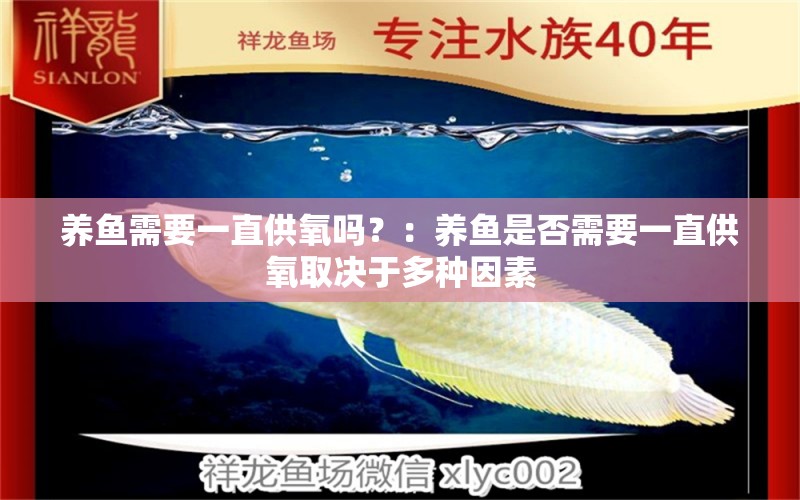 養(yǎng)魚(yú)需要一直供氧嗎？：養(yǎng)魚(yú)是否需要一直供氧取決于多種因素 魚(yú)缸百科 第2張