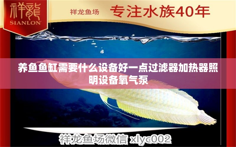 養(yǎng)魚(yú)魚(yú)缸需要什么設(shè)備好一點(diǎn)過(guò)濾器加熱器照明設(shè)備氧氣泵 綠皮皇冠豹魚(yú)