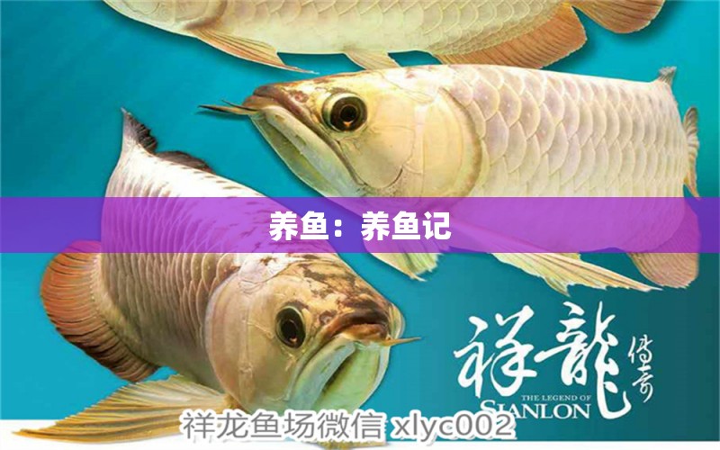 養(yǎng)魚：養(yǎng)魚記